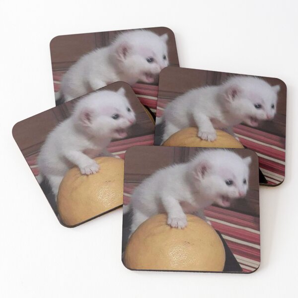 Item preview, Kitten Screaming while Holding Orange designed and sold by Rzera-.
