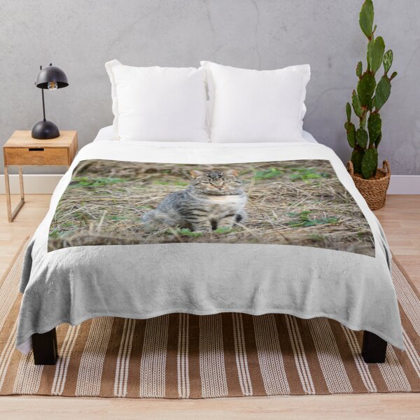 Item preview, klb kitty designed and sold by pcfyi.