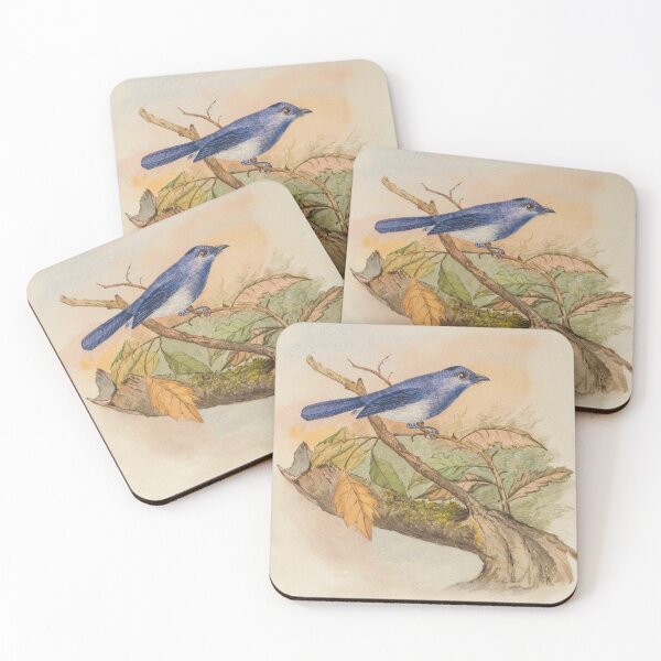 Item preview, Black Naped Blue Flycatcher designed and sold by laguitan10.