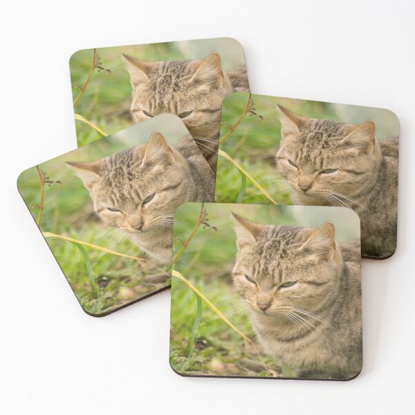 Item preview, klb missy designed and sold by pcfyi.
