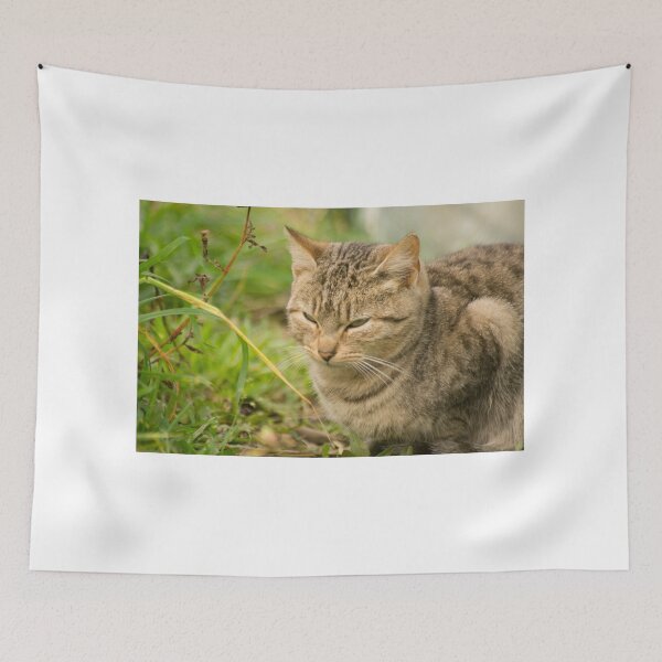 Item preview, klb missy designed and sold by pcfyi.
