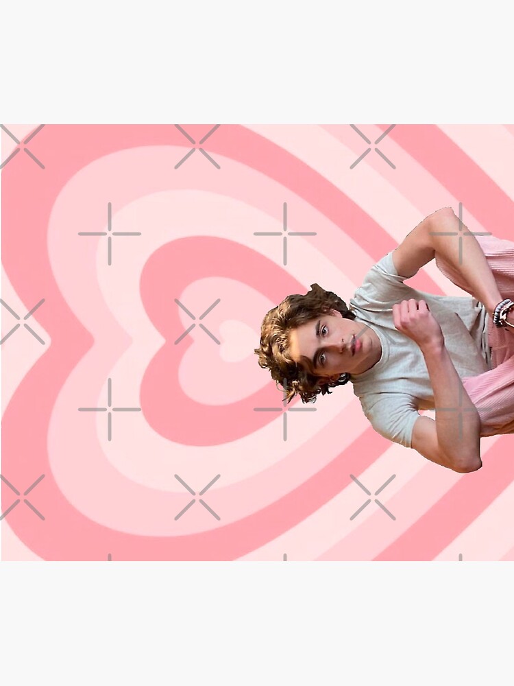 "timothee chalamet " Throw Blanket for Sale by clio28 Redbubble