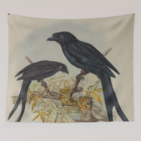 Item preview, Crested Drongo And Racket Tailed Drongo designed and sold by laguitan10.