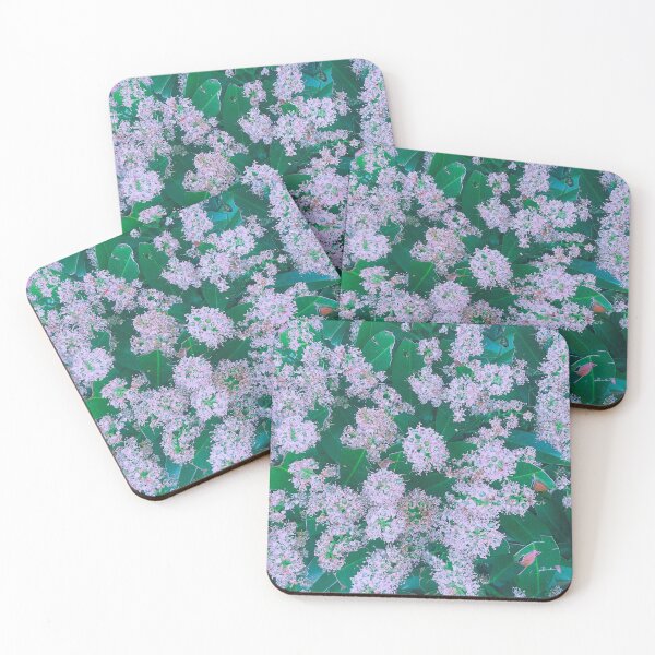 Item preview, Alyssum Plant Photographic designed and sold by marvacousins246.