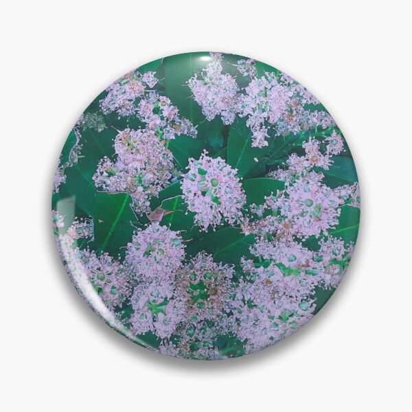 Item preview, Alyssum Plant Photographic designed and sold by marvacousins246.