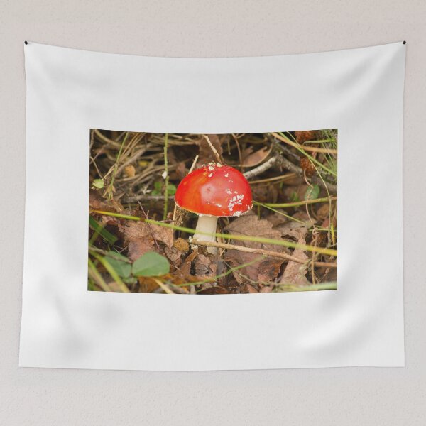 Item preview, klb magical mushroom designed and sold by pcfyi.