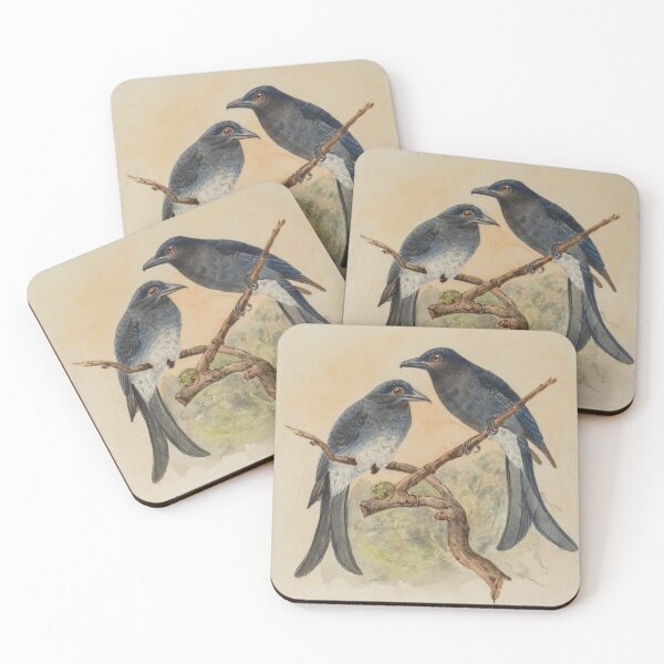 Item preview, Two White Bellied Drongo designed and sold by laguitan10.
