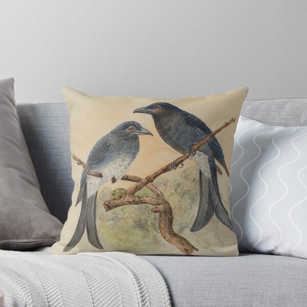 Item preview, Two White Bellied Drongo designed and sold by laguitan10.