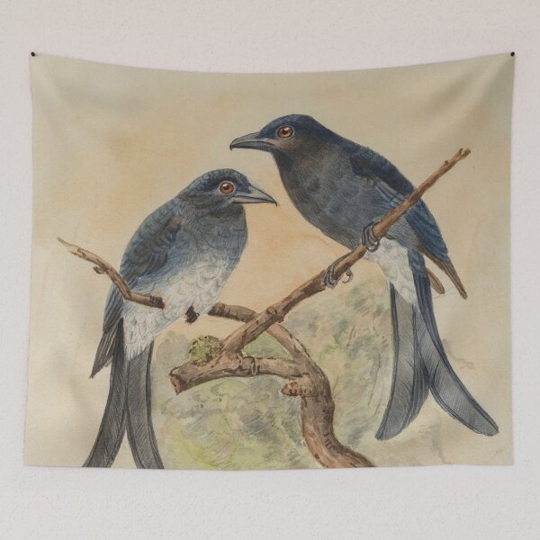Item preview, Two White Bellied Drongo designed and sold by laguitan10.