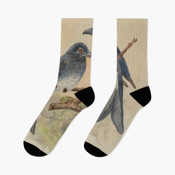 Item preview, Two White Bellied Drongo designed and sold by laguitan10.