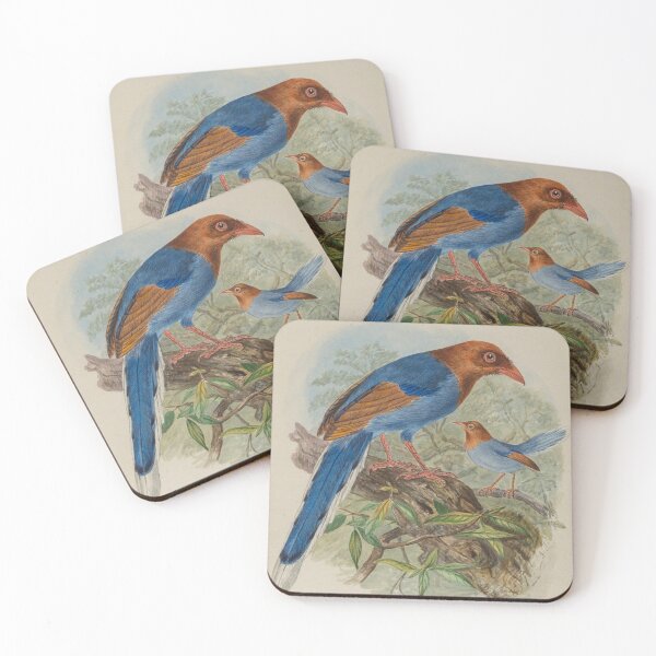 Item preview, Two Ceylon Blue Magpies designed and sold by laguitan10.