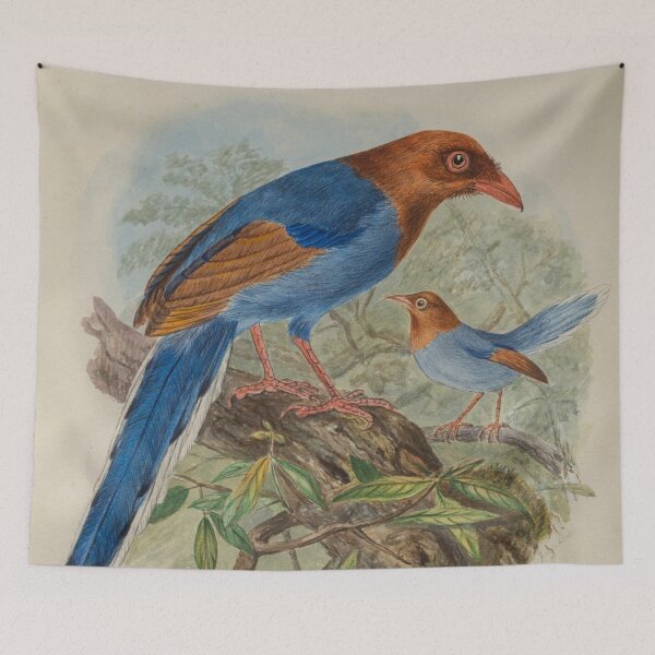 Item preview, Two Ceylon Blue Magpies designed and sold by laguitan10.