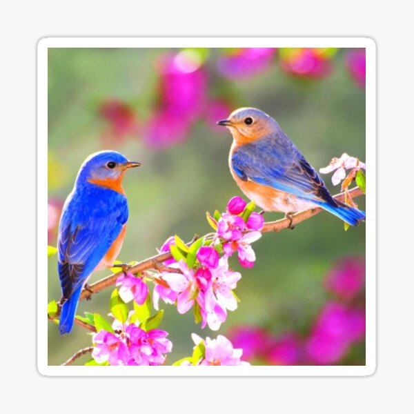 Birds And Flowers Background Sticker