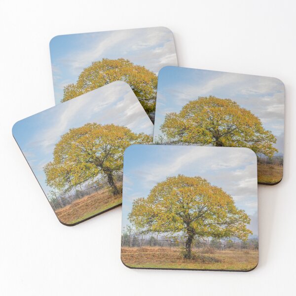 Item preview, Eurobin from Bright and Surrounds, Victoria, Australia designed and sold by Vicki Walsh.