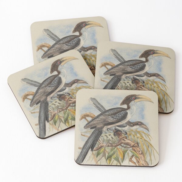 Item preview, Two Ceylon Grey Hornbills designed and sold by laguitan10.