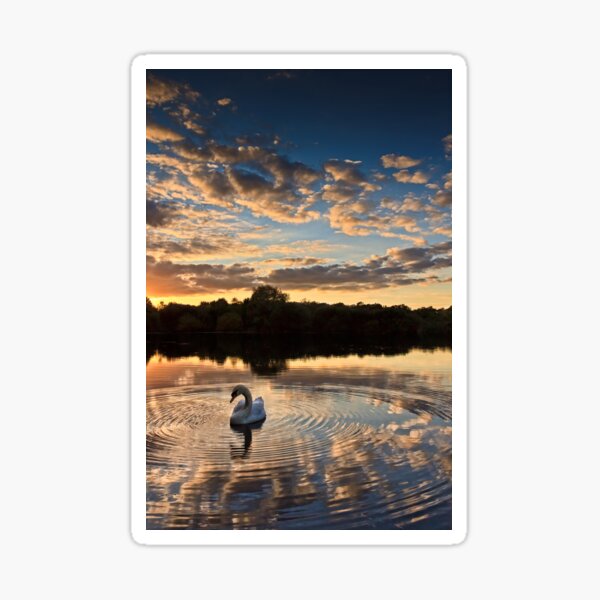 swan lake Sticker