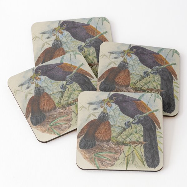 Item preview, Green Billed Coucal With Young designed and sold by laguitan10.