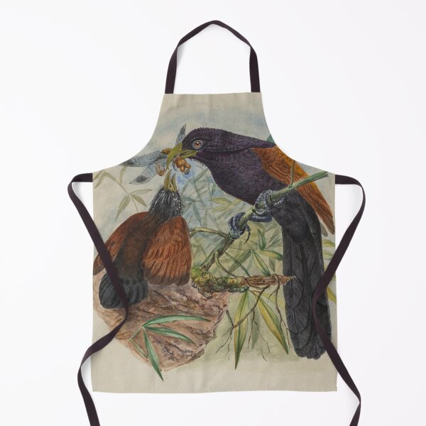 Item preview, Green Billed Coucal With Young designed and sold by laguitan10.