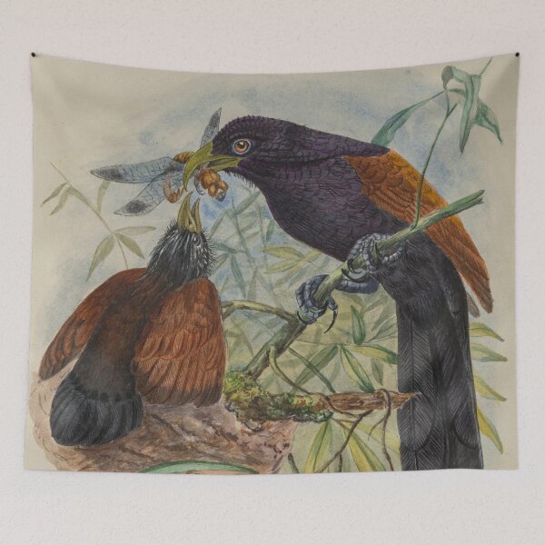 Item preview, Green Billed Coucal With Young designed and sold by laguitan10.