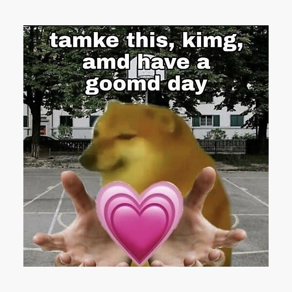 Doge Racism Photographic Prints Redbubble