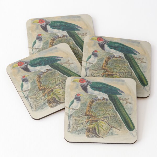 Item preview, Two Red Faced Malkoha designed and sold by laguitan10.