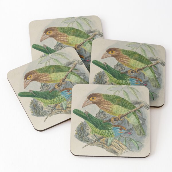 Item preview, Brown Headed And Yellow Fronted Barbets designed and sold by laguitan10.