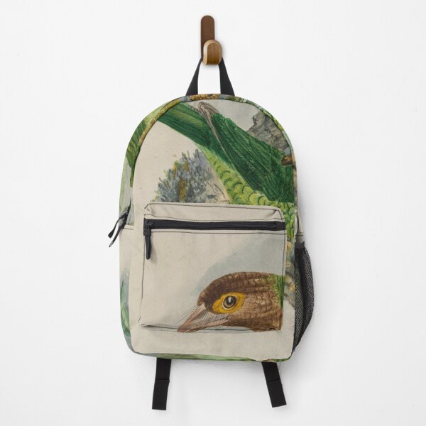 Item preview, Brown Headed And Yellow Fronted Barbets designed and sold by laguitan10.