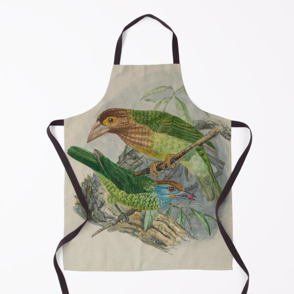 Item preview, Brown Headed And Yellow Fronted Barbets designed and sold by laguitan10.