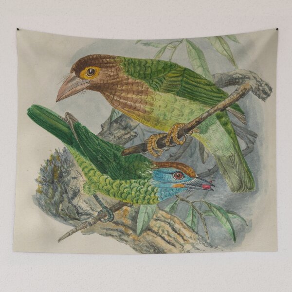 Item preview, Brown Headed And Yellow Fronted Barbets designed and sold by laguitan10.