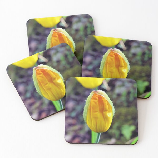 Item preview, welsh poppy designed and sold by KathleenDawson.