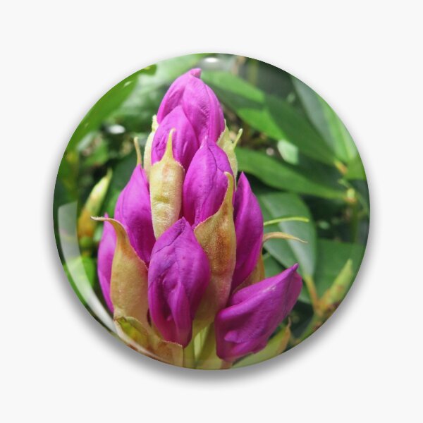 Item preview, rhododendron flower designed and sold by KathleenDawson.