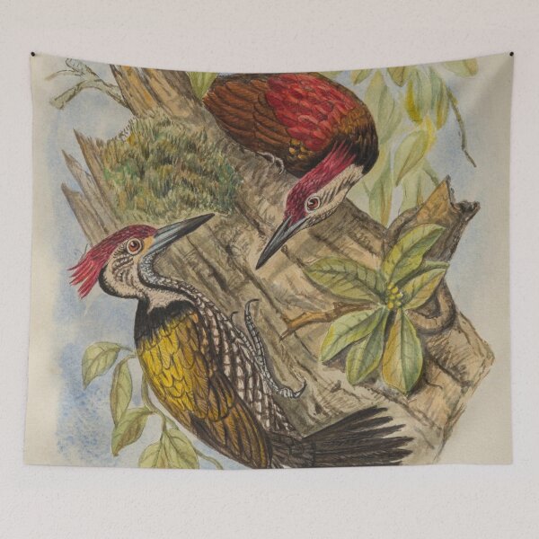 Item preview, Southern Golden Backed Woodpecker designed and sold by laguitan10.
