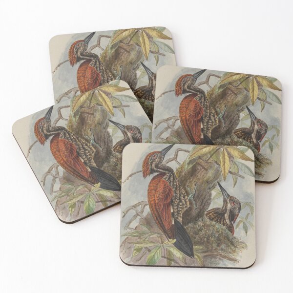 Item preview, Red Woodpecker Peculiar To Ceylon designed and sold by laguitan10.