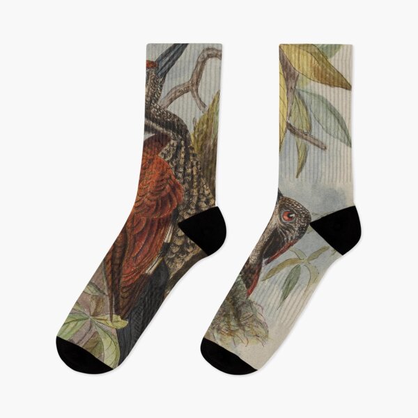 Item preview, Red Woodpecker Peculiar To Ceylon designed and sold by laguitan10.