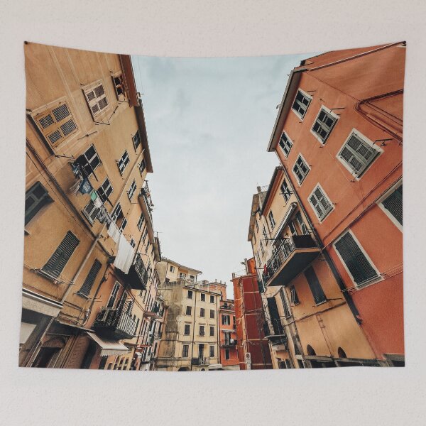 Item preview, italian city centre in cinque terre designed and sold by franckreporter.