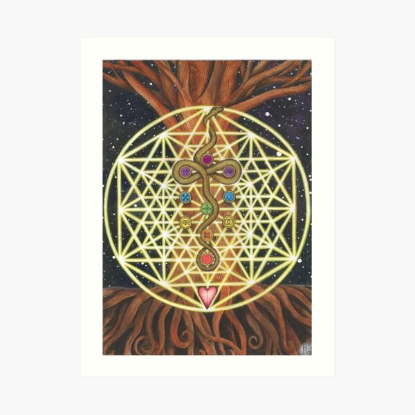 Universal Tree of Life Art Print