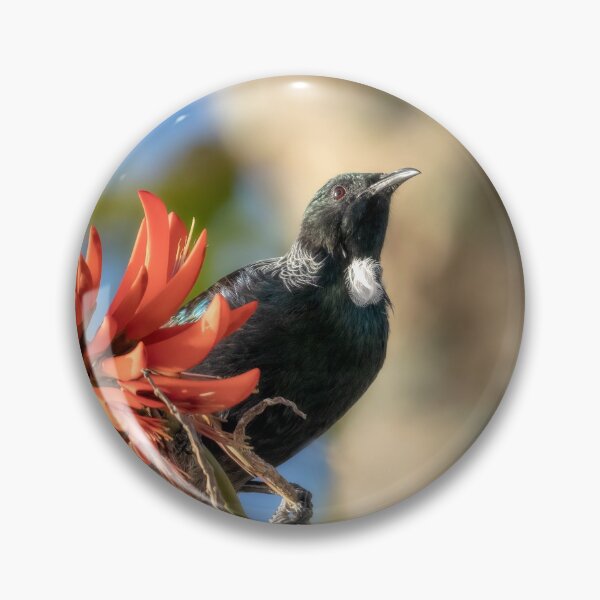 Item preview, Tui in Flame tree #2 designed and sold by DVart-nz.