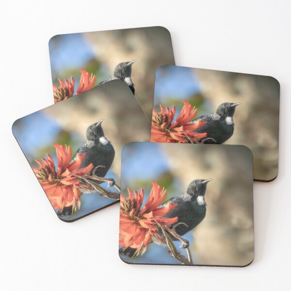 Item preview, Tui in Flame tree #2 designed and sold by DVart-nz.