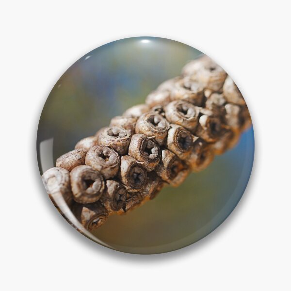 Item preview, Bottlebrush Flower Seed Pods designed and sold by Joy Watson - Natural Light Photography .