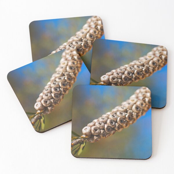 Item preview, Bottlebrush Flower Seed Pods designed and sold by Joy Watson - Natural Light Photography .