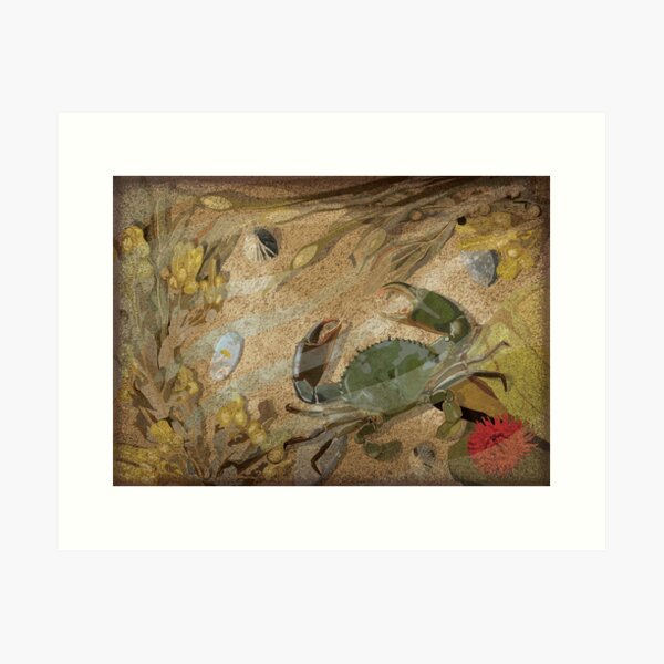 Item preview, Crab and rockpool designed and sold by cjnconway.
