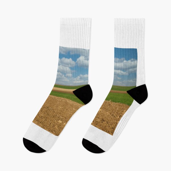 Item preview, plowed and young green wheat field landscape  designed and sold by goceris.
