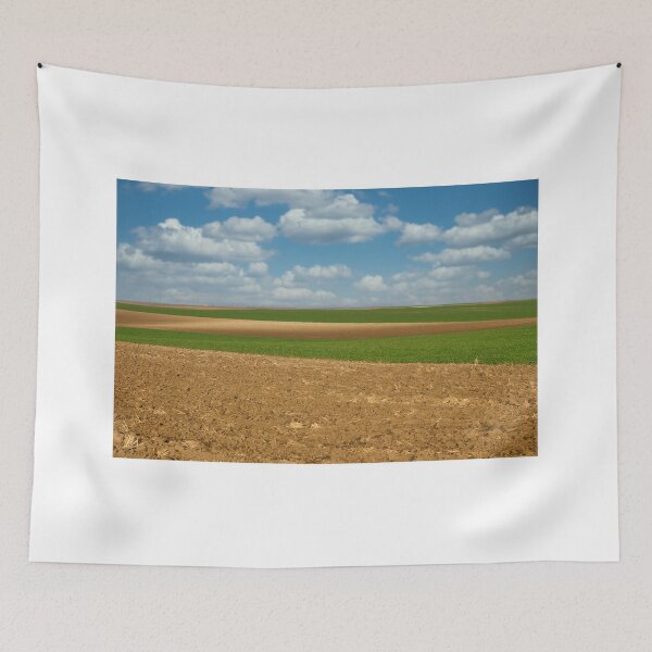 Item preview, plowed and young green wheat field landscape  designed and sold by goceris.