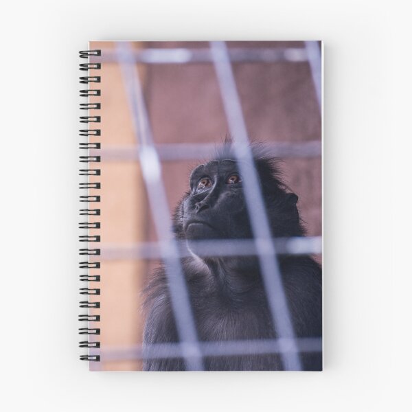 Item preview, Monkey Bars designed and sold by epicimagesphoto.