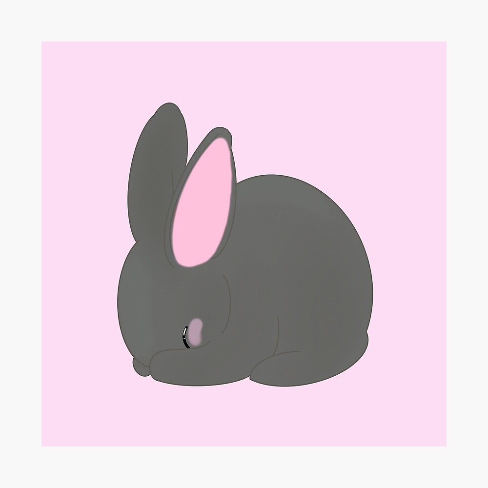 Blushing Bunny | Cute Fluffy and Shy | Black Bunny