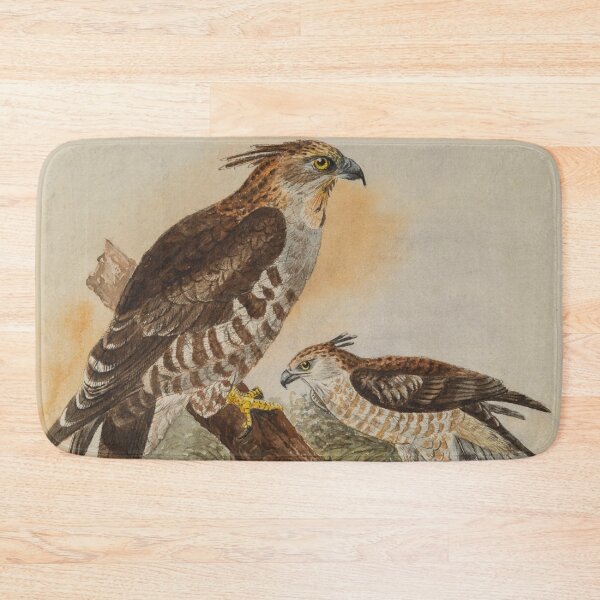 Item preview, Two Ceylon Brown Hawks designed and sold by laguitan10.
