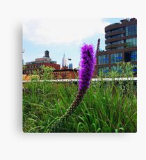 Buzzing Around Canvas Print
