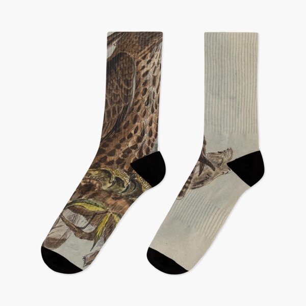 Item preview, Mountain Hawk-eagles Looking For Prey designed and sold by laguitan10.