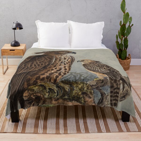 Item preview, Mountain Hawk-eagles Looking For Prey designed and sold by laguitan10.
