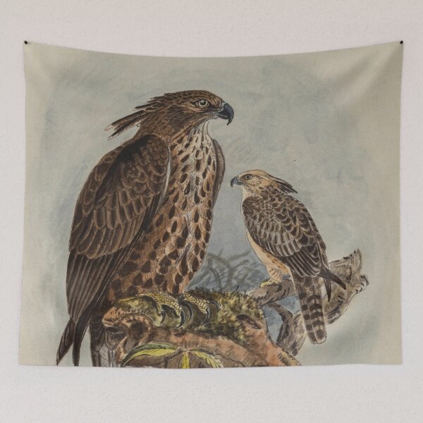Item preview, Mountain Hawk-eagles Looking For Prey designed and sold by laguitan10.